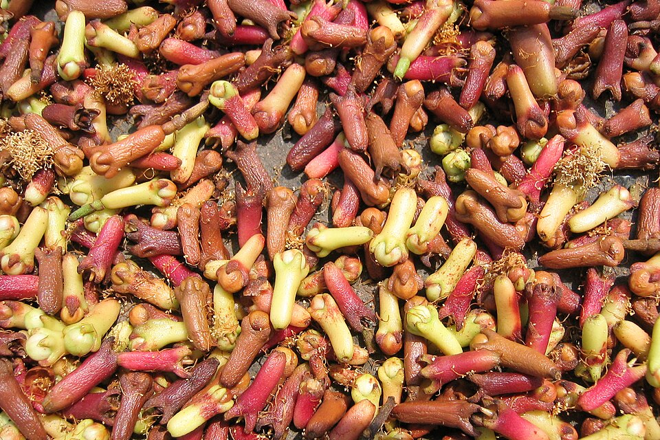 Clove